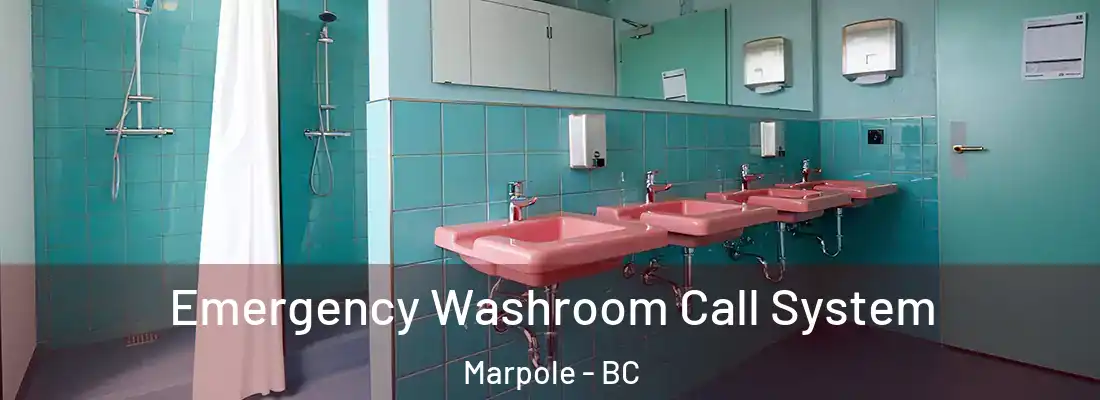  Emergency Washroom Call System Marpole - BC