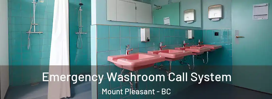  Emergency Washroom Call System Mount Pleasant - BC