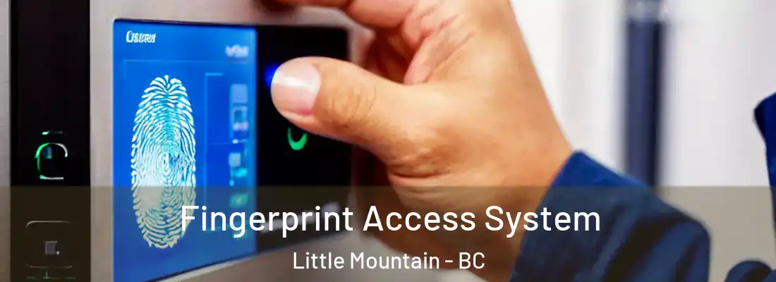  Fingerprint Access System Little Mountain - BC