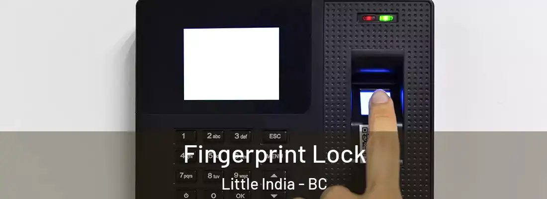  Fingerprint Lock Little India - BC