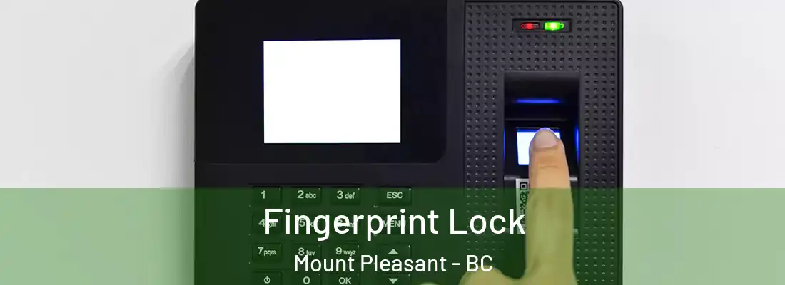  Fingerprint Lock Mount Pleasant - BC
