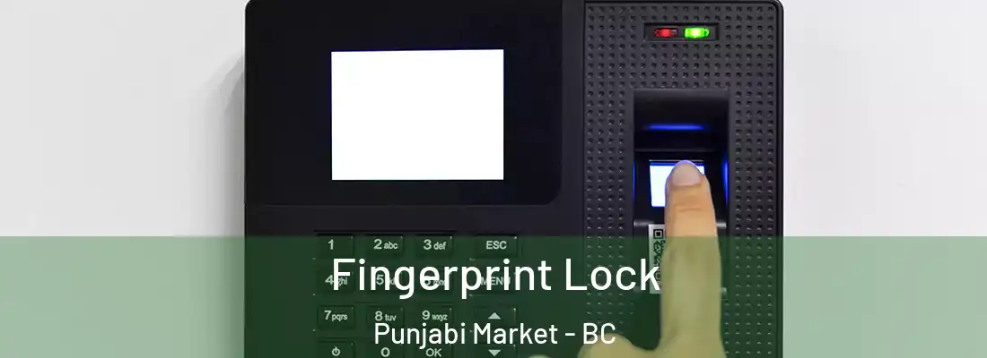  Fingerprint Lock Punjabi Market - BC