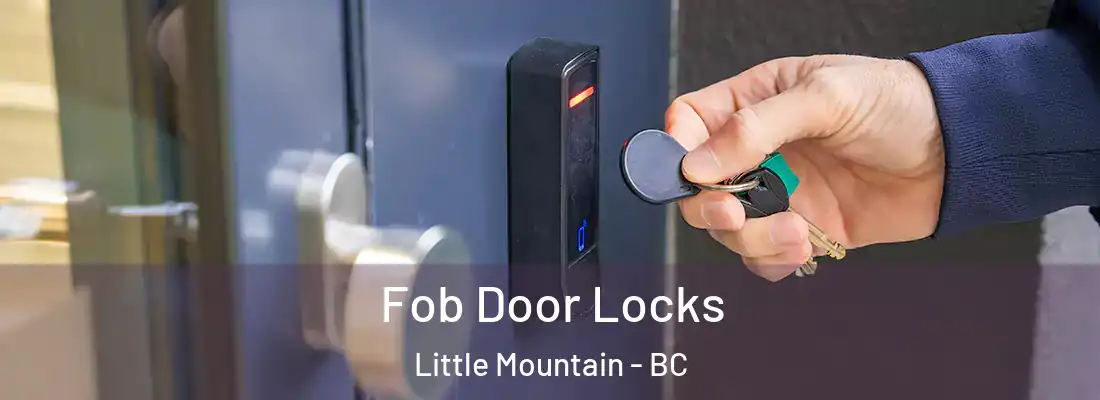  Fob Door Locks Little Mountain - BC