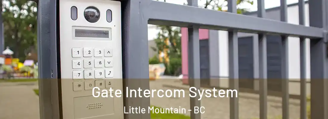  Gate Intercom System Little Mountain - BC