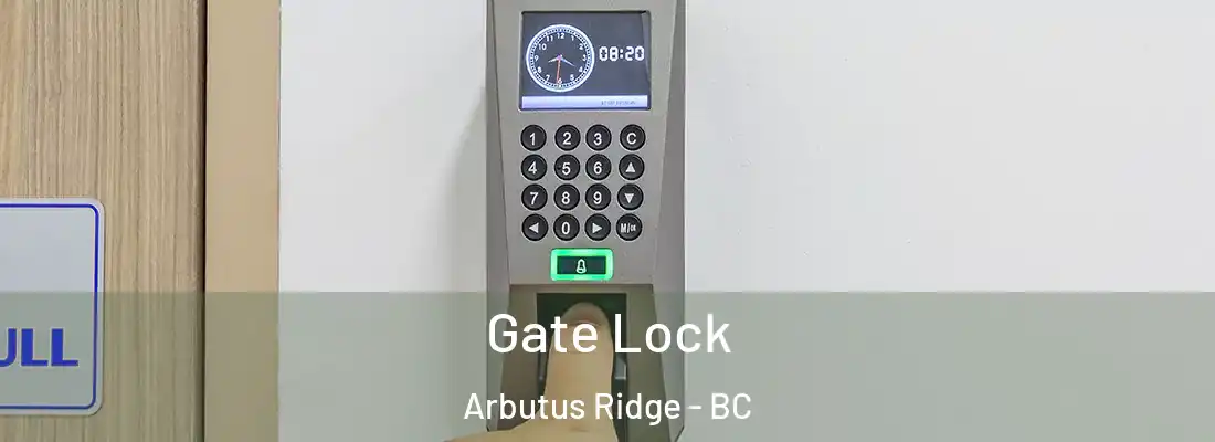  Gate Lock Arbutus Ridge - BC