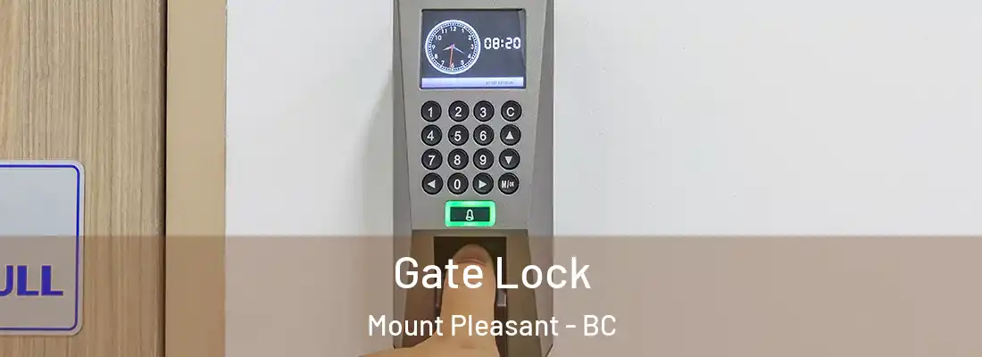  Gate Lock Mount Pleasant - BC
