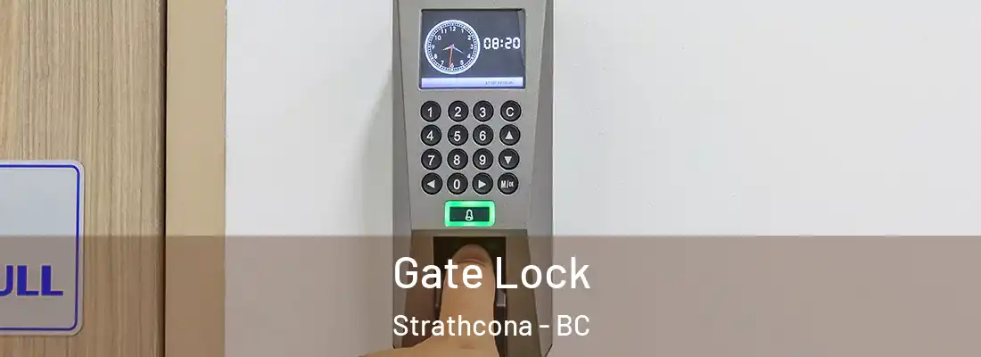  Gate Lock Strathcona - BC