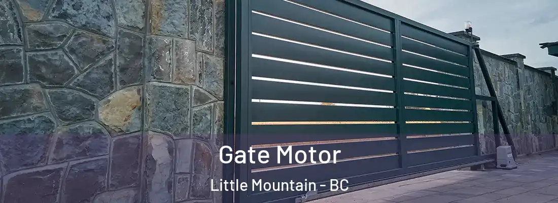  Gate Motor Little Mountain - BC