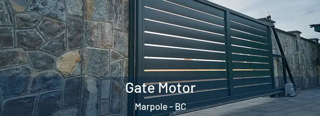  Gate Motor Marpole - BC