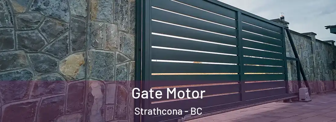 Gate Motor Strathcona - BC