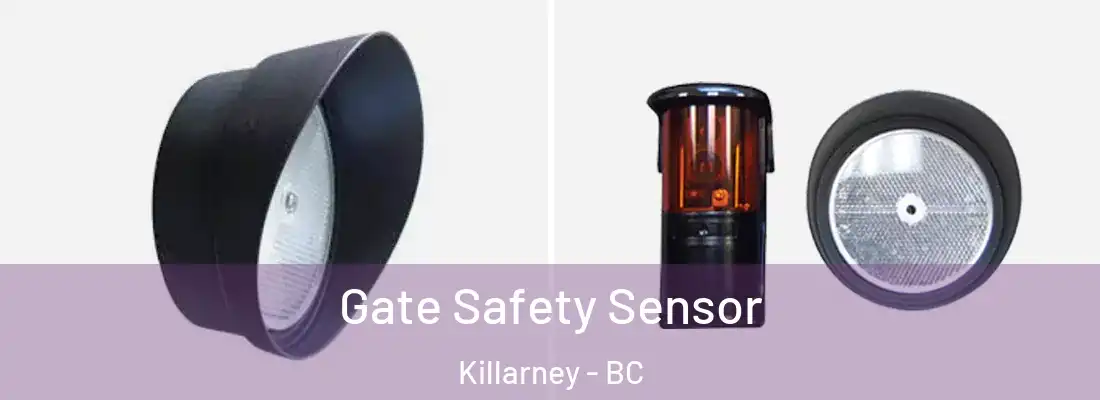  Gate Safety Sensor Killarney - BC
