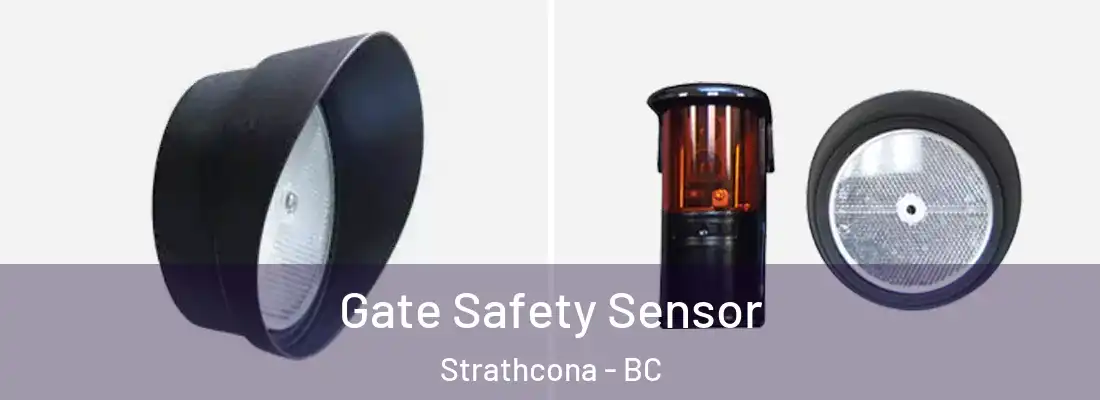  Gate Safety Sensor Strathcona - BC