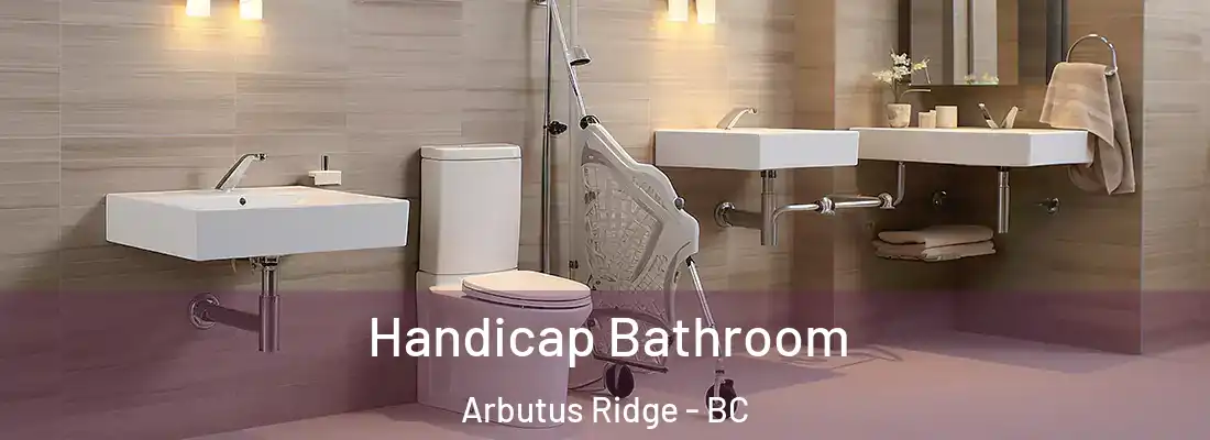  Handicap Bathroom Arbutus Ridge - BC