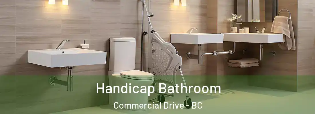  Handicap Bathroom Commercial Drive - BC