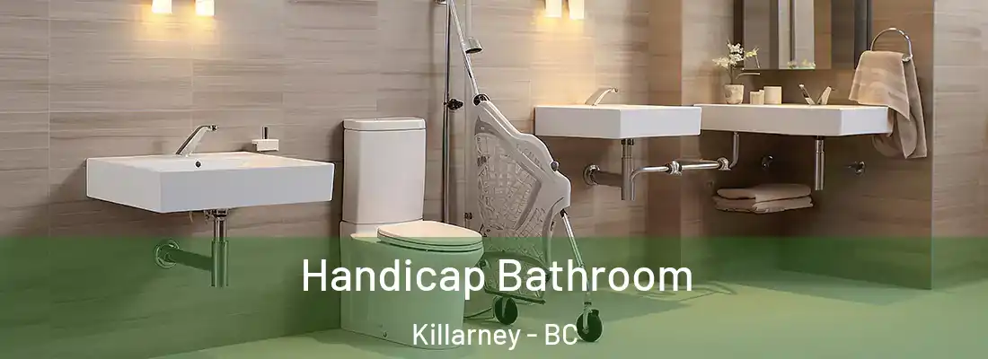  Handicap Bathroom Killarney - BC