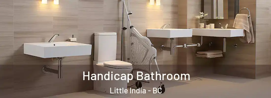  Handicap Bathroom Little India - BC