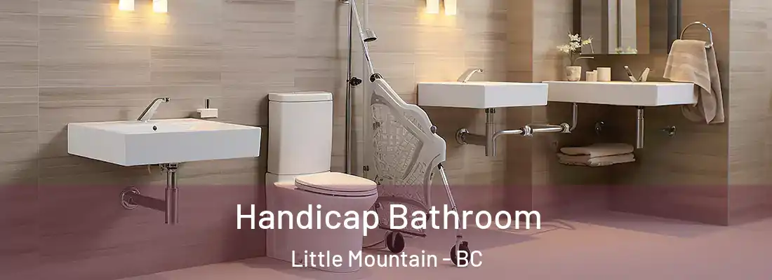  Handicap Bathroom Little Mountain - BC