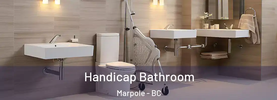  Handicap Bathroom Marpole - BC