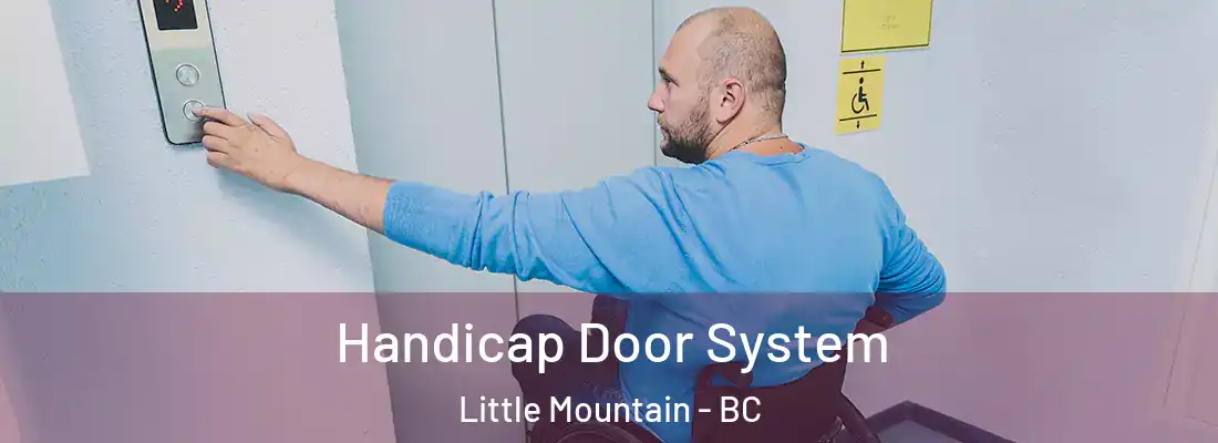  Handicap Door System Little Mountain - BC