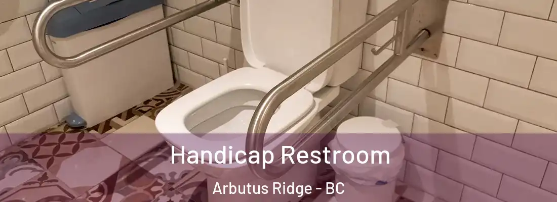  Handicap Restroom Arbutus Ridge - BC