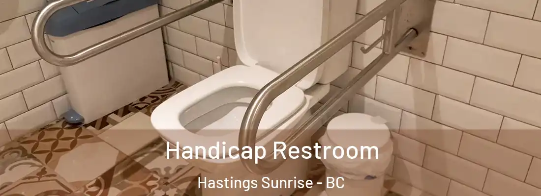  Handicap Restroom Hastings Sunrise - BC