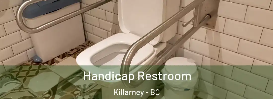  Handicap Restroom Killarney - BC