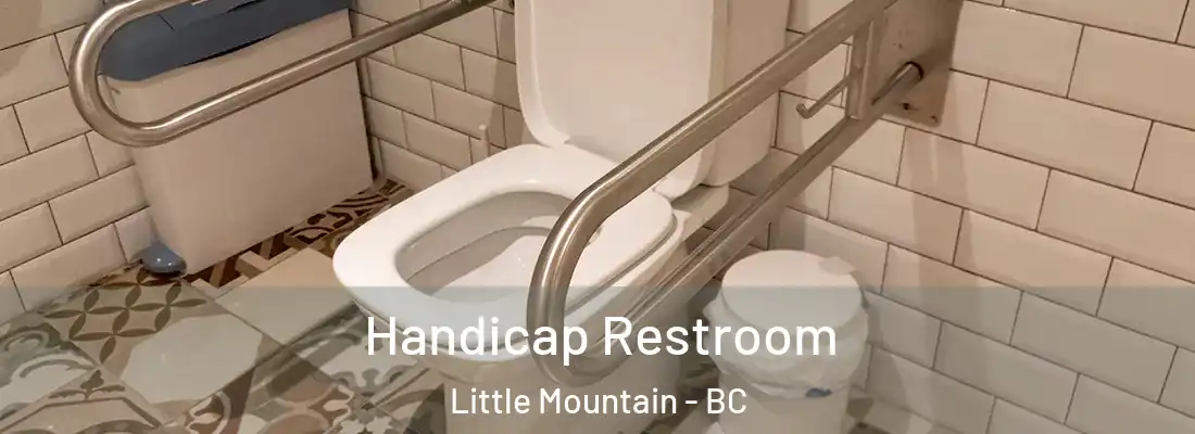  Handicap Restroom Little Mountain - BC