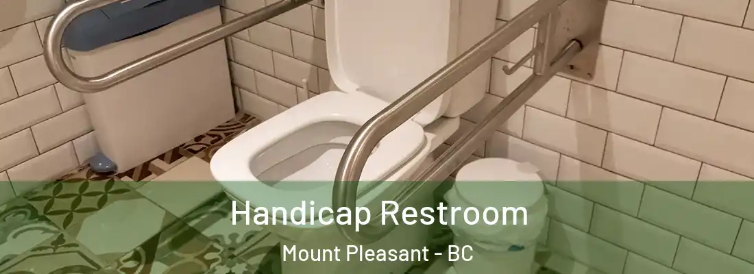  Handicap Restroom Mount Pleasant - BC