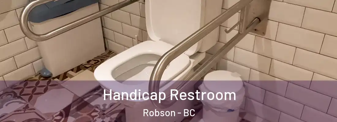  Handicap Restroom Robson - BC
