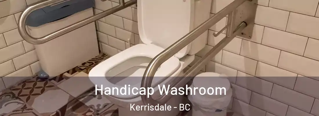  Handicap Washroom Kerrisdale - BC