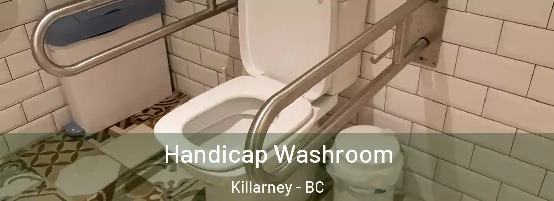  Handicap Washroom Killarney - BC