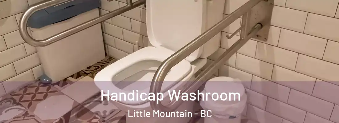  Handicap Washroom Little Mountain - BC