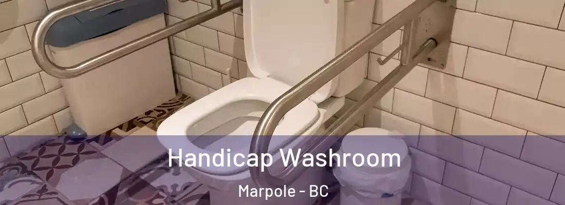  Handicap Washroom Marpole - BC