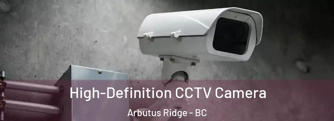  High-Definition CCTV Camera Arbutus Ridge - BC