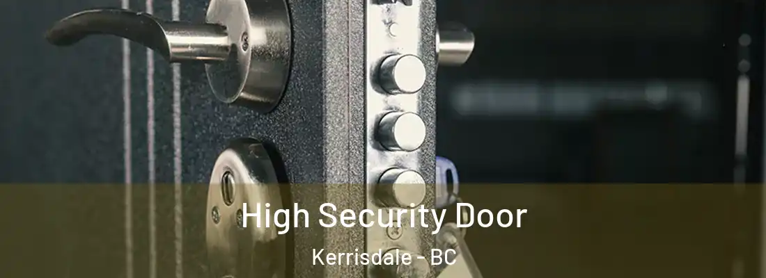  High Security Door Kerrisdale - BC