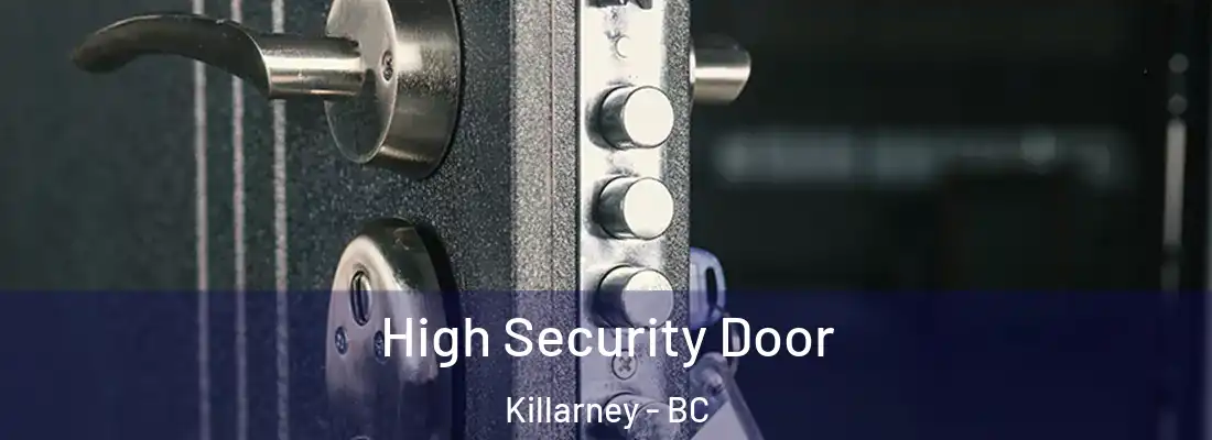  High Security Door Killarney - BC