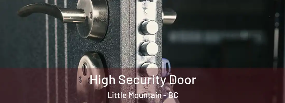  High Security Door Little Mountain - BC