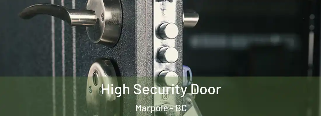  High Security Door Marpole - BC