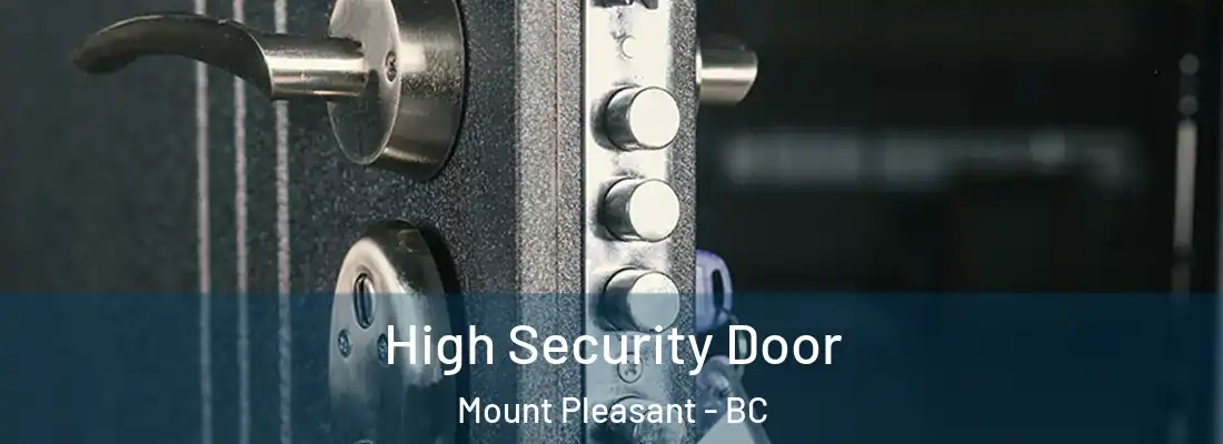  High Security Door Mount Pleasant - BC