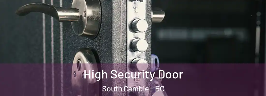  High Security Door South Cambie - BC