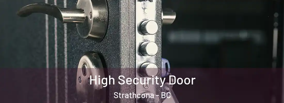 High Security Door Strathcona - BC