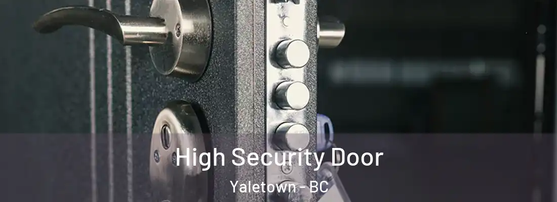  High Security Door Yaletown - BC