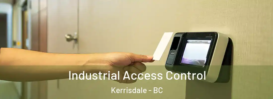  Industrial Access Control Kerrisdale - BC
