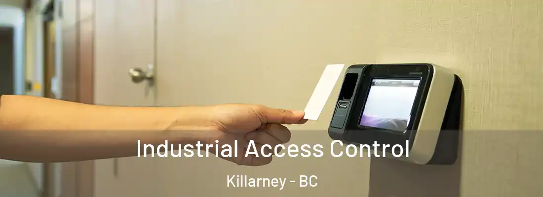  Industrial Access Control Killarney - BC