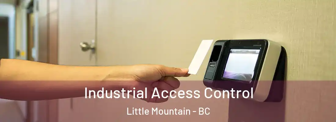  Industrial Access Control Little Mountain - BC