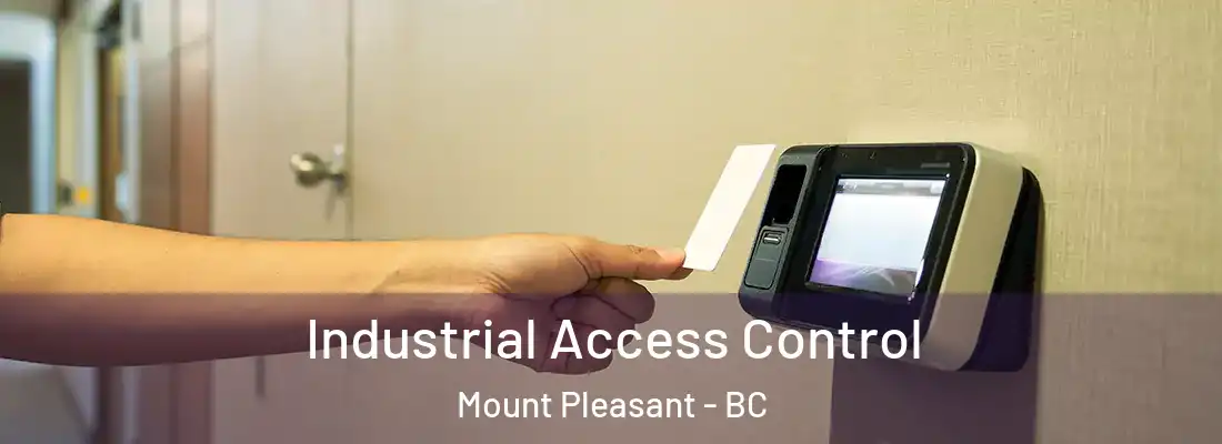  Industrial Access Control Mount Pleasant - BC