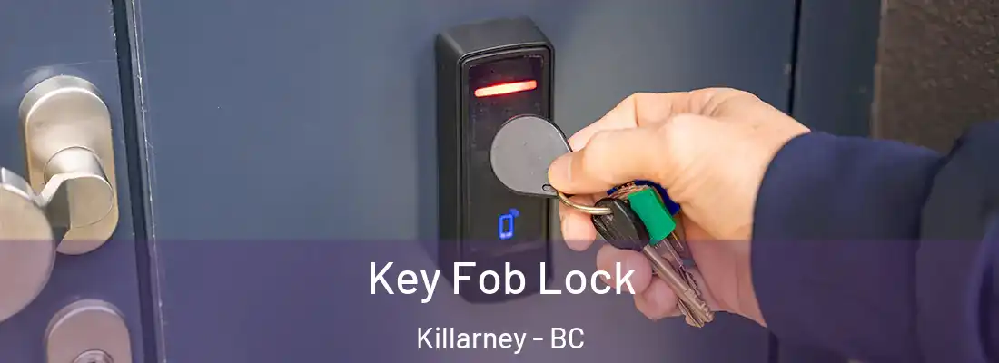  Key Fob Lock Killarney - BC