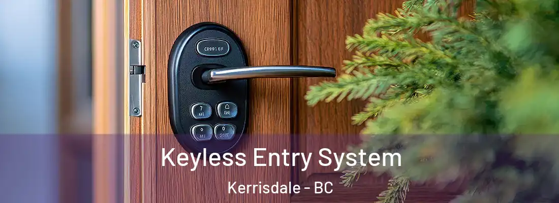  Keyless Entry System Kerrisdale - BC