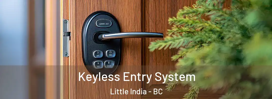  Keyless Entry System Little India - BC