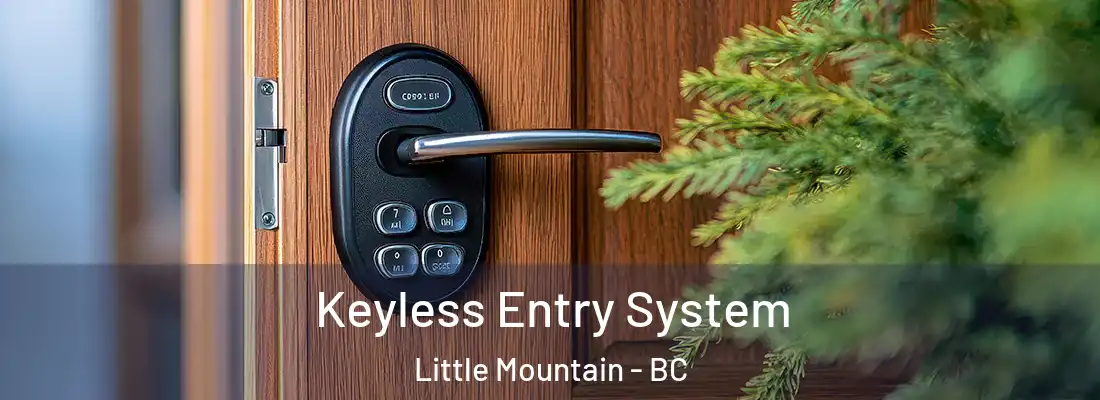  Keyless Entry System Little Mountain - BC